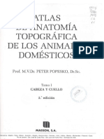 Atlas de Anatomia Tomo i