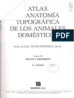 Atlas de Anatomia Tomo III