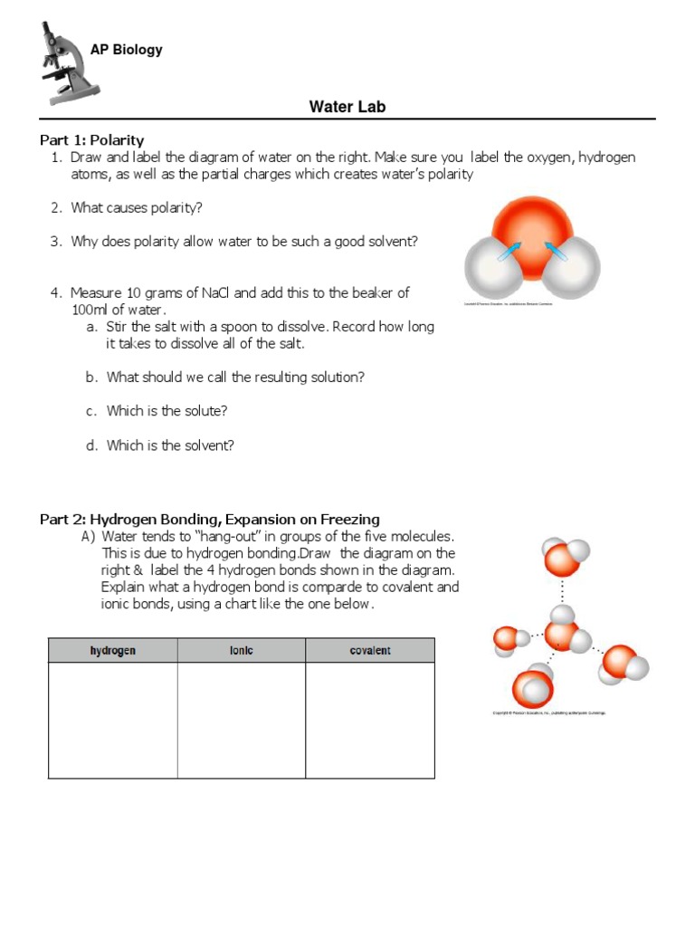 Water Lab PDF PDF Properties Of Water Evaporation