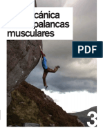 Biomecanica de Las Palancas Musculares