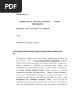 Adjudicacion y Liquidacion