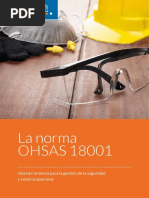 eBook Ohsas 18001 Gestion Seguridad Salud Ocupacional