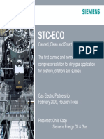 Siemens PDF