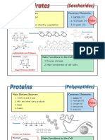 a biomolecule comparison information sheets