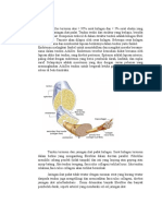 Mikroskopis Tendon