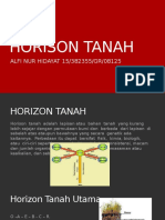 Horison Tanah 