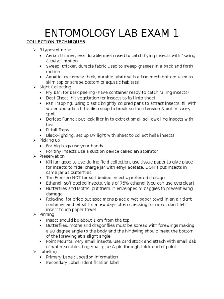 Entomology Lab Exam 1 PDF Anatomical Terms Of Location Insects