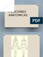 Posiciones Anatomicas