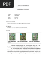 Download Laporan Penelitian Putri Malu by Marissa Mellia SN325425017 doc pdf