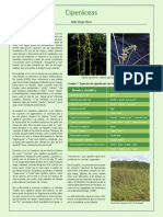 10ciperaceas PDF