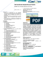 Interpretación de Registro de Pozos PDF