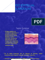 Tejido Epitelial