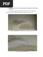 EFLORESCÊNCIA E VESÍCULA.docx