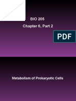 BIO 205 Chapter 6 Part 2 Lecture