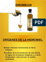DomingoMorales-Hidromiel.pdf
