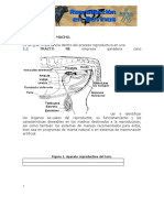 1.anatomia y Fisiologia