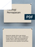 Fisiologi Pernapasan