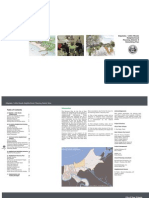 Edgelake / Little Woods Neighborhood Planning District 9 Rebuilding Plan