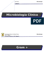 Mircobiología Clínica