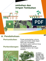 bab1pertumbuhandanperkembangantumbuhan-140924081102-phpapp02.pptx