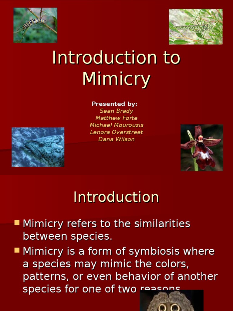 Introduction to Mimicry Mimicry Predation