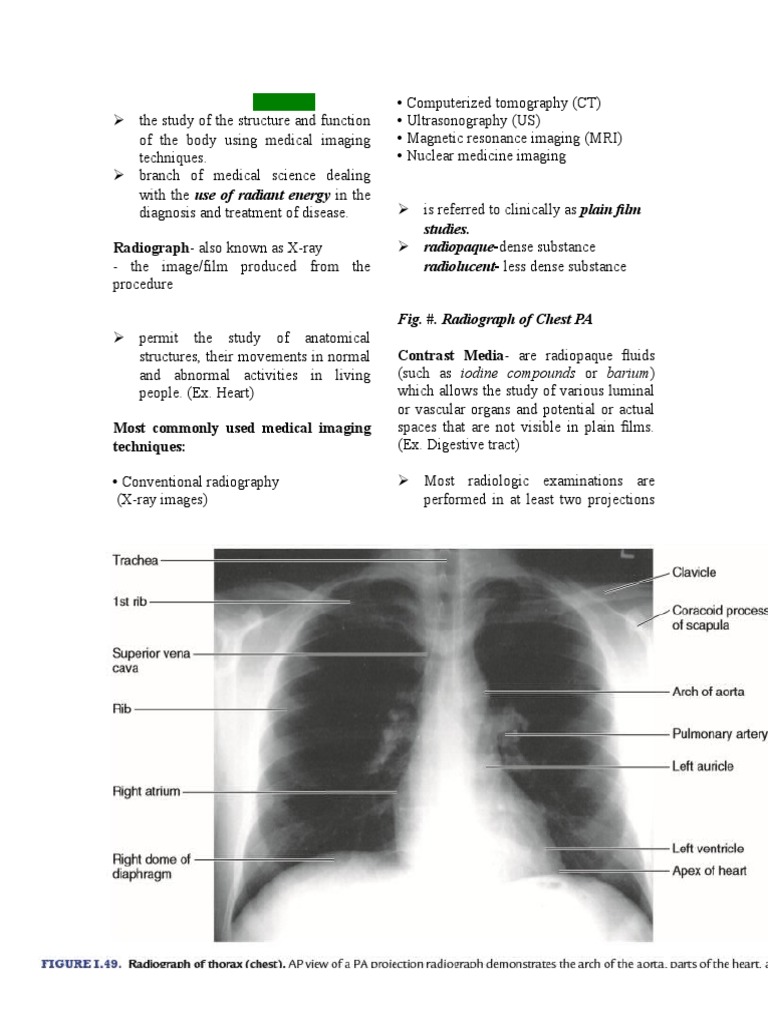 Radiologic Anatomy | PDF | Medical Ultrasound | Radiography