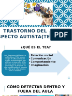 Trastorno Del Especto Autista (Tea)