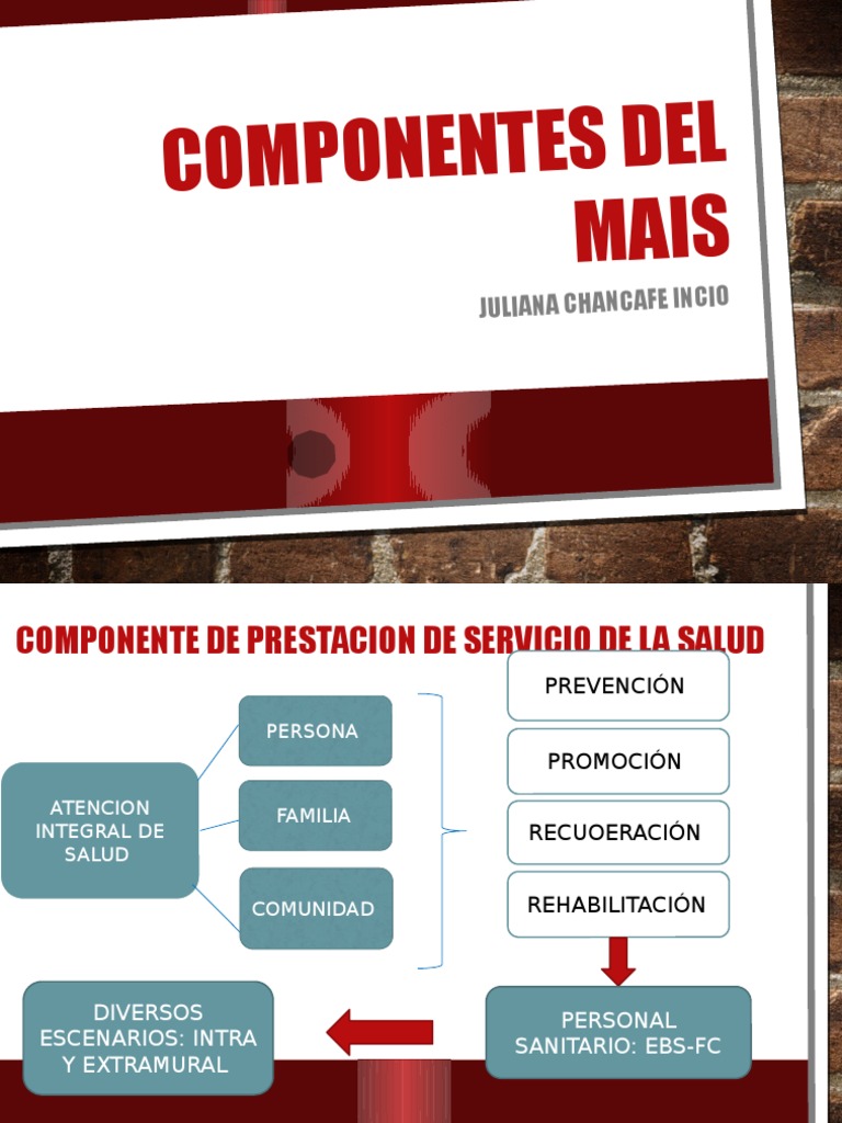 Componentes del MAIS en Salud Integral | PDF