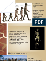 1.8 Million and 250,000 Years Ago - in Early Periods in Africa, H. Erectus Coexisted With Other Species of Earlier Hominids, Such As