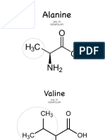 Amino Acids Cards