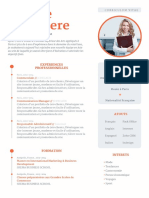 CV Exemple