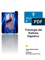 Fisiología Sistema Digestivo FINAL