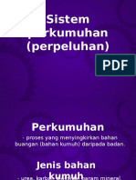 Sistem Perkumuhan (Perpeluhan)