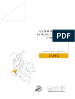 Agenda Interna Para La Productividad y La Competitividad-documentoregional Cauca