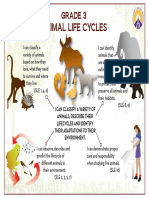 Animal Life Cycles Poster