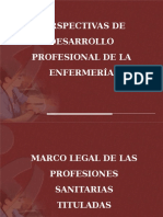 Desarrollo Profesional