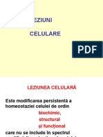 Leziuni Celulare