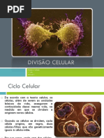 2divisocelular-101117125518-phpapp02