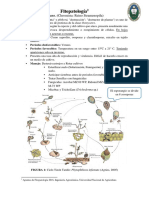 Apuntes Fitopatología2