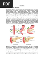 Super Resumen Pancreas