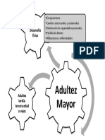 Caracteriticas de La Adultez Mayor