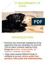 CATS & DOGS Nutrition PDF