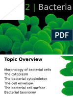 Topic+2+Bacteria For Students