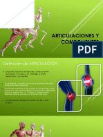 Articulaciones y Componentes Anatomia