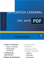 03 La Corteza Cerebral Parte 1