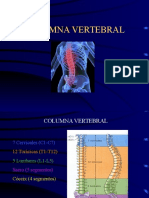 II1.-Columna-Vertebral.ppt