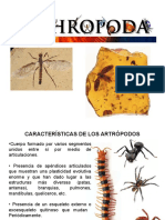 Introducción Del Curso Entomología y MIP