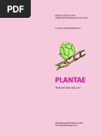 Download Plantae by wephe SN32556829 doc pdf