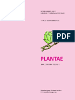 Plantae