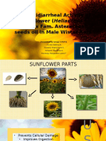 The Antidiarrheal Activity of Sunflower (Helianthus Annuus Final)